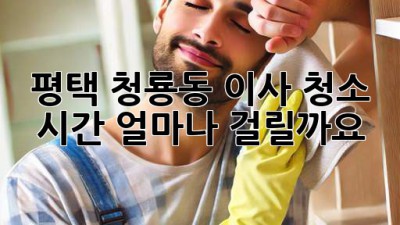 평택 청룡동 이사 청소 시간, 얼마나 걸릴까요?